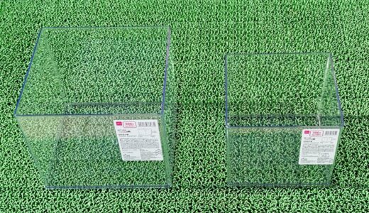 ダイソーのプラ水槽で水草水槽を再開